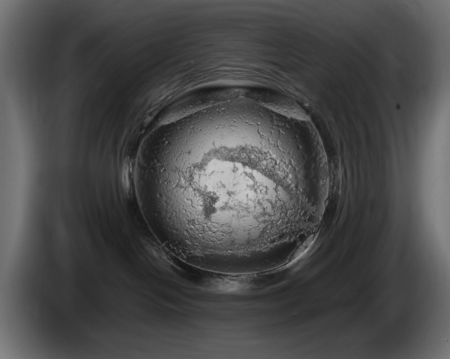 X0000085060094200703051448