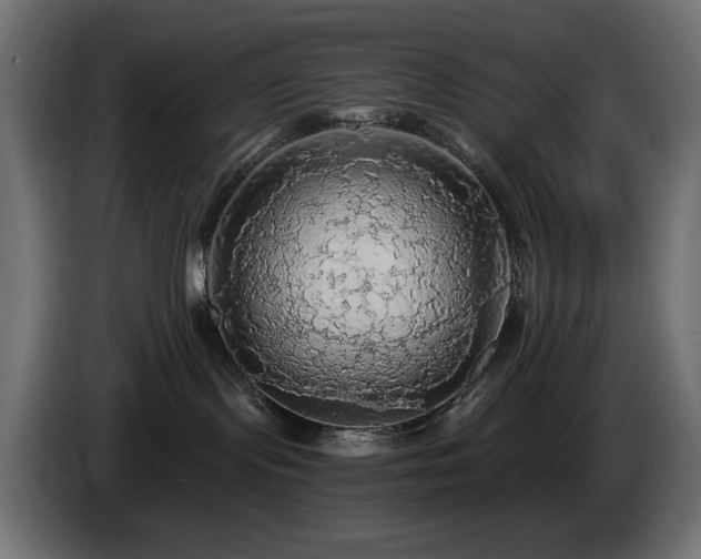 X0000085060095200703051448