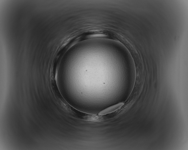 X0000085060096200703051448