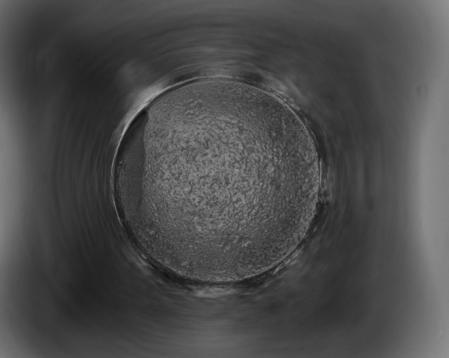 X0000085060099200703051448