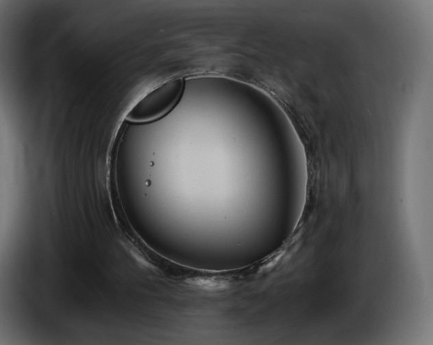 X0000085060100200703051447