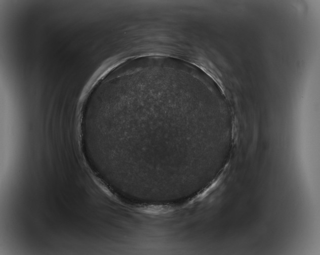 X0000085060101200703051447