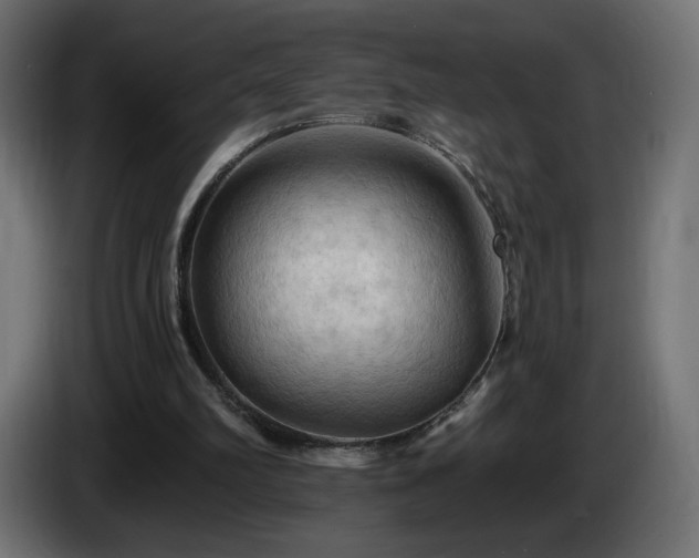 X0000085060102200703051447