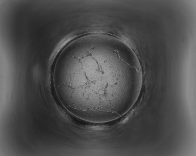 X0000085060103200703051447