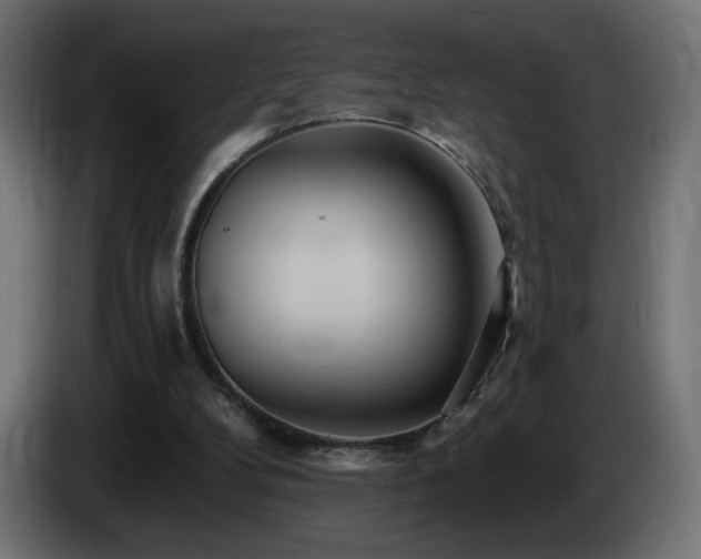 X0000085060104200703051447