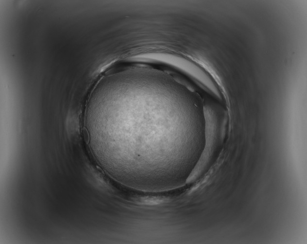 X0000085060105200703051447