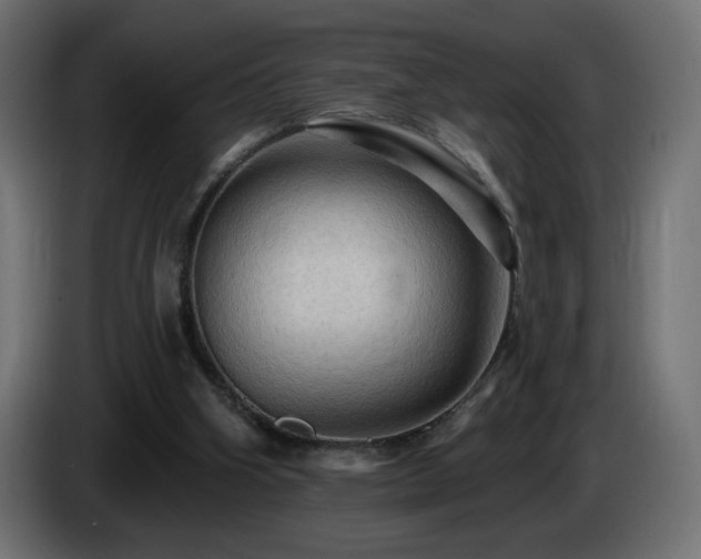 X0000085060106200703051447