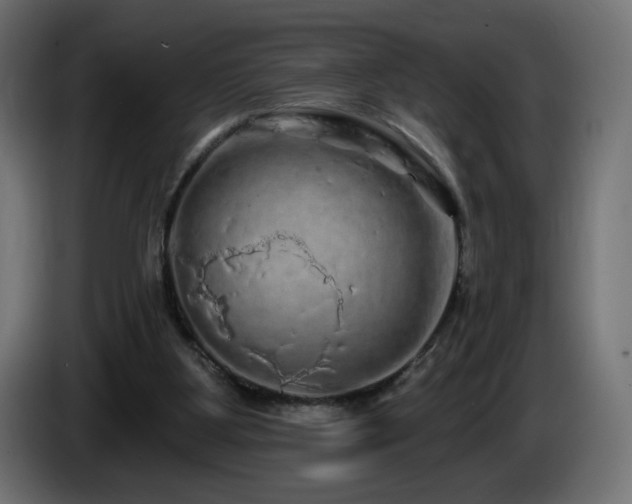 X0000085060107200703051447