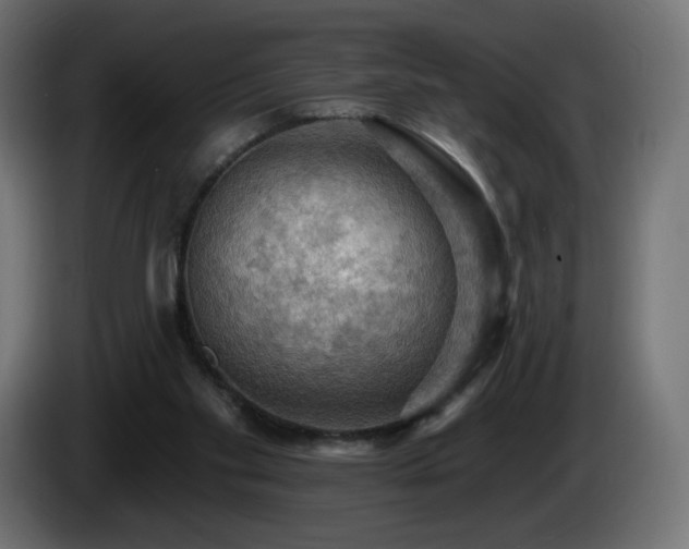 X0000085060109200703051447