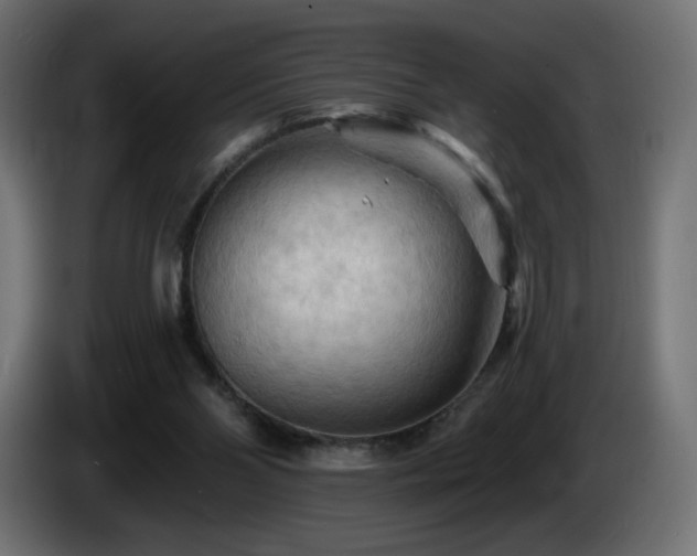 X0000085060110200703051447