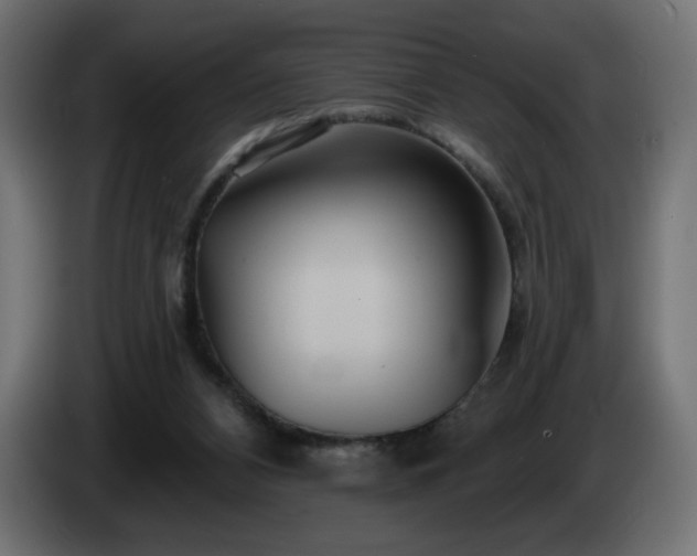 X0000085060112200703051447