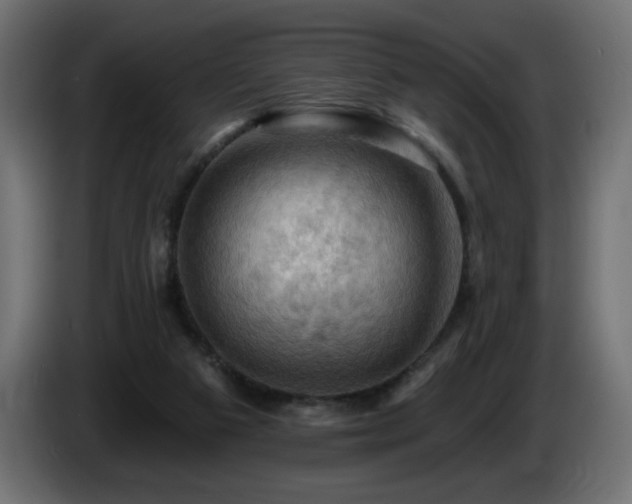 X0000085060113200703051447