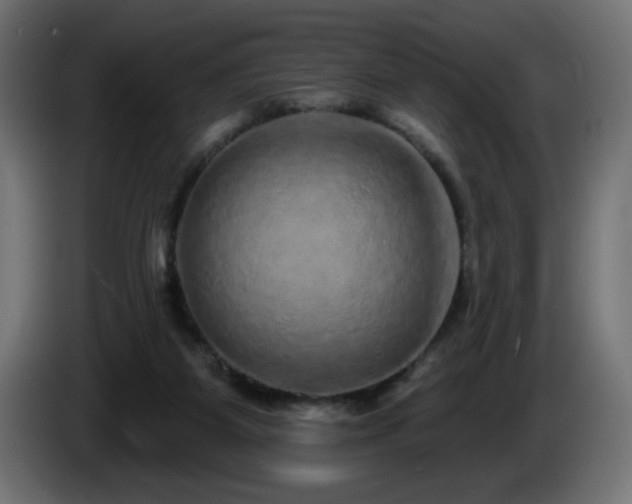 X0000085060115200703051447