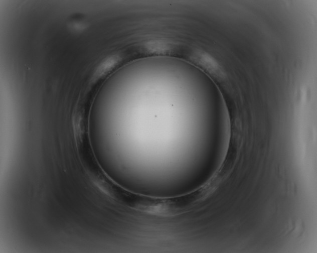 X0000085060116200703051447