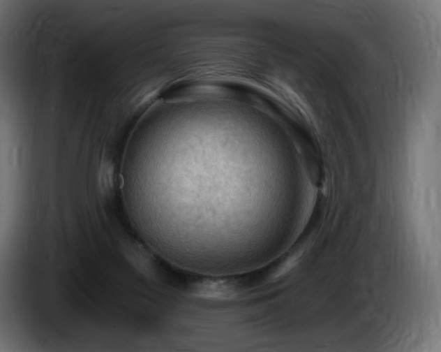 X0000085060117200703051447