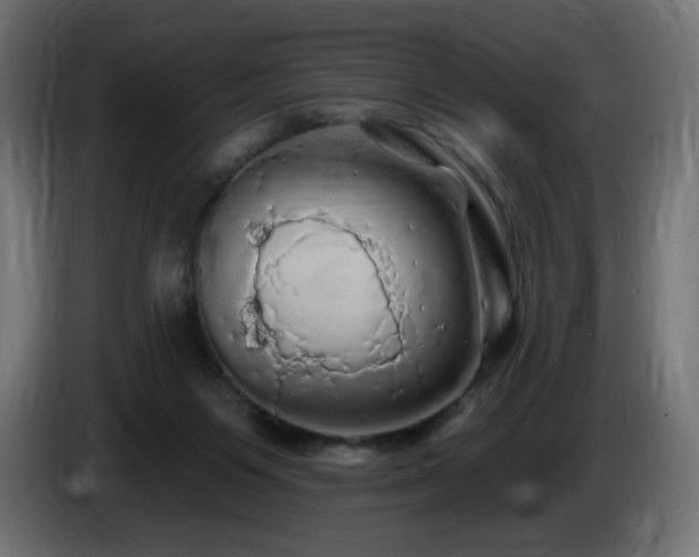 X0000085060119200703051447