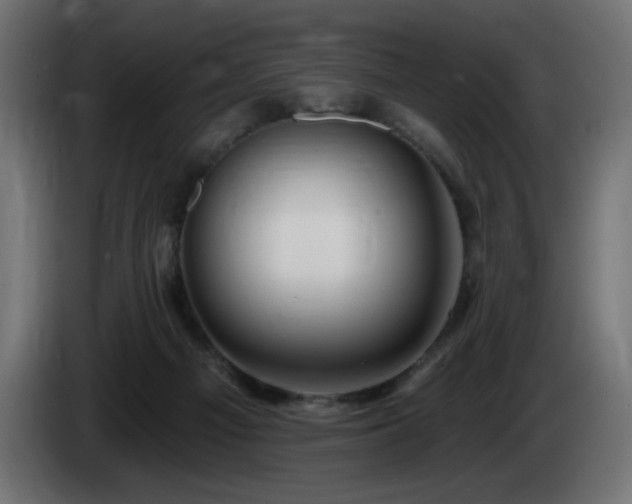 X0000085060121200703051447