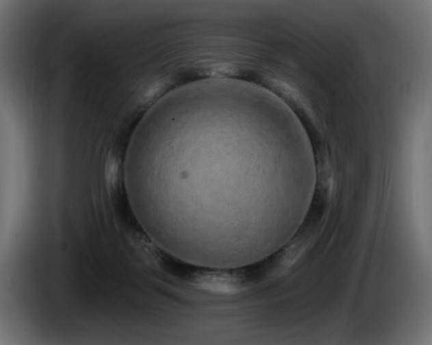 X0000085060123200703051447