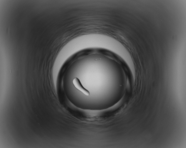 X0000085060125200703051447