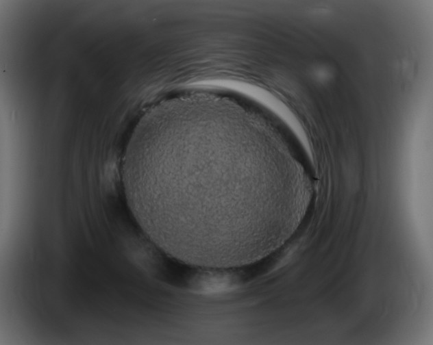 X0000085060127200703051447