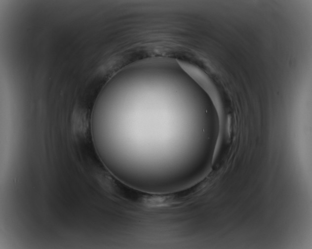 X0000085060129200703051447