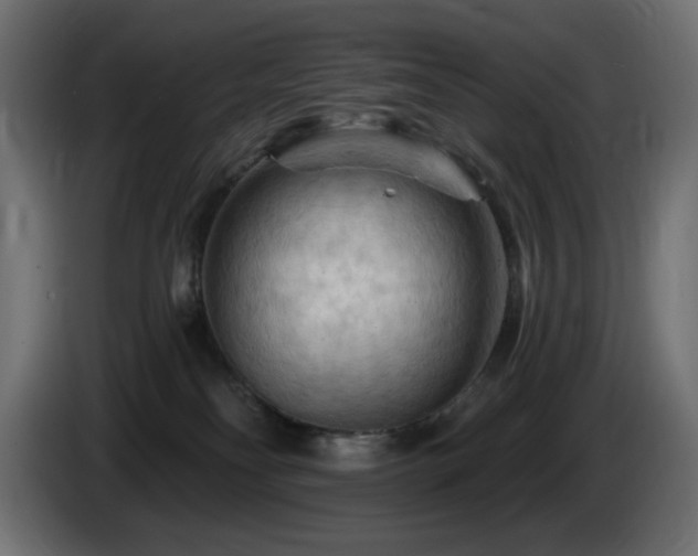 X0000085060134200703051447