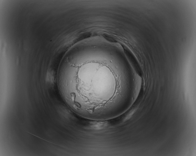 X0000085060135200703051447