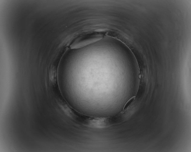 X0000085060138200703051447