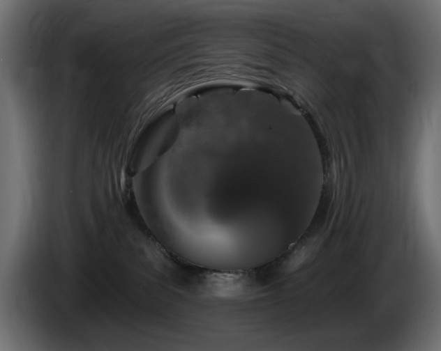 X0000085060139200703051447