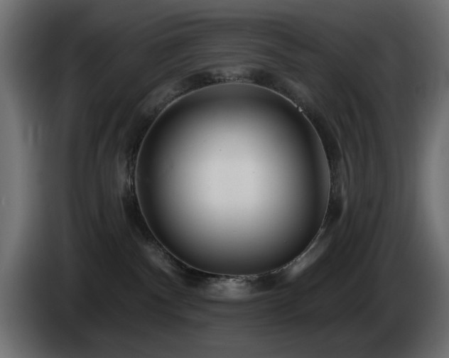 X0000085060140200703051447