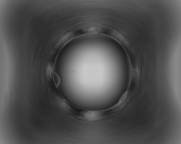 X0000085060142200703051447