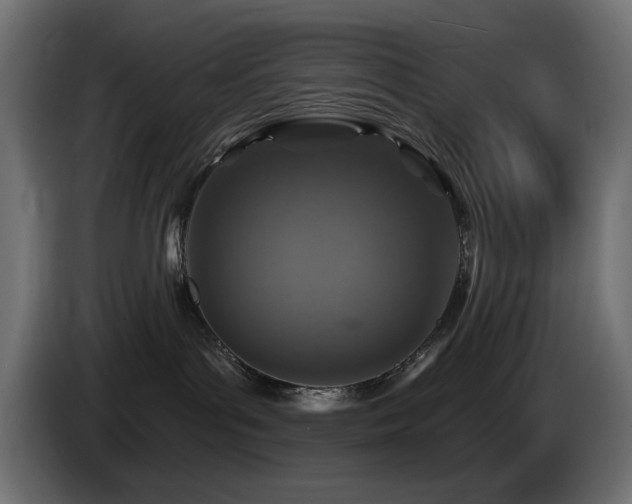 X0000085060143200703051447