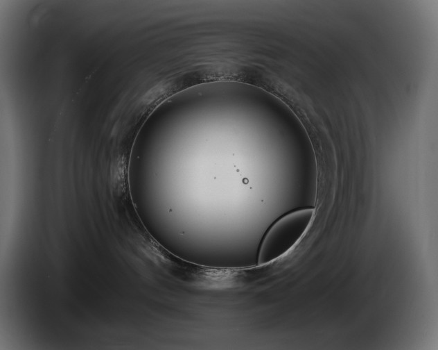X0000085060144200703051447