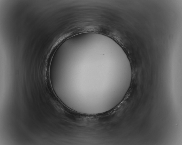X0000085060146200703051446