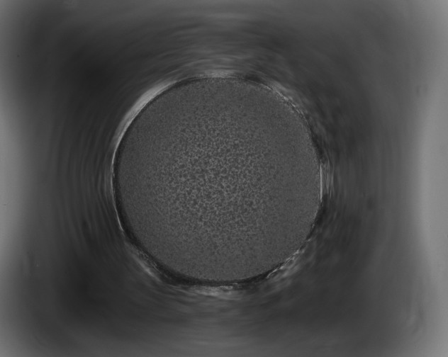 X0000085060147200703051446