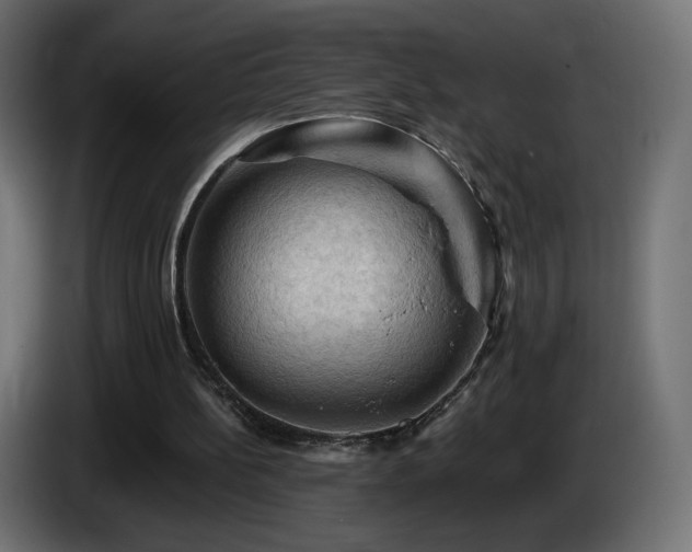 X0000085060148200703051446
