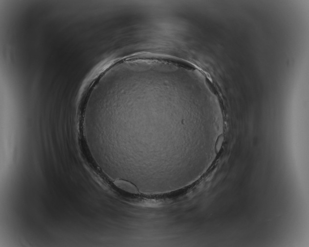 X0000085060149200703051446