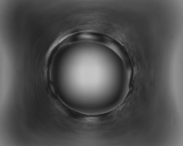 X0000085060150200703051446