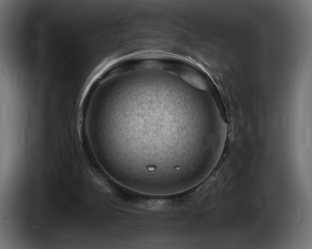 X0000085060152200703051446