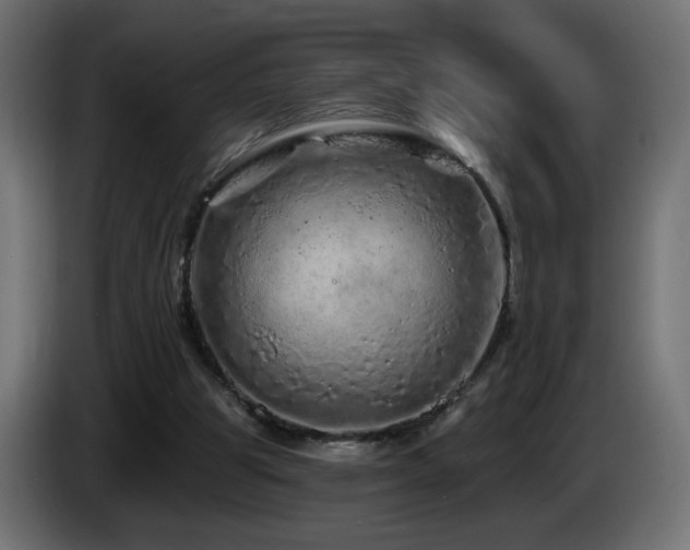 X0000085060153200703051446