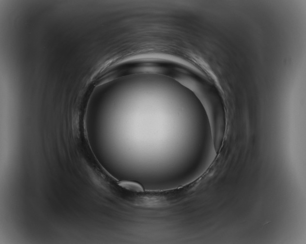 X0000085060154200703051446