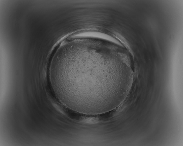 X0000085060155200703051446