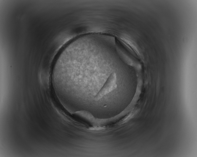 X0000085060156200703051446
