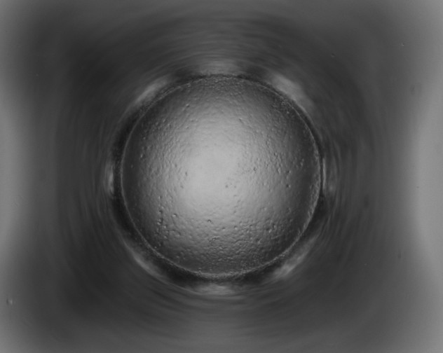 X0000085060157200703051446