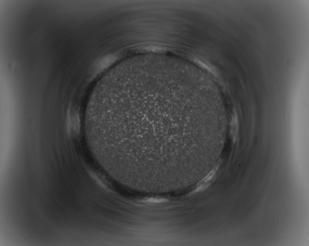 X0000085060158200703051446