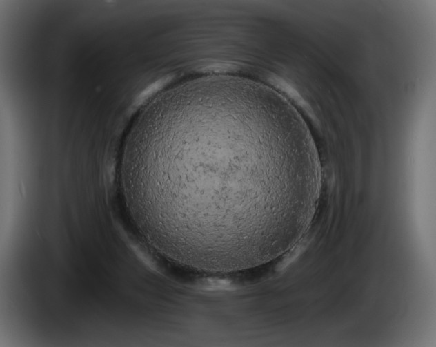 X0000085060159200703051446
