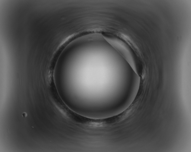 X0000085060160200703051446
