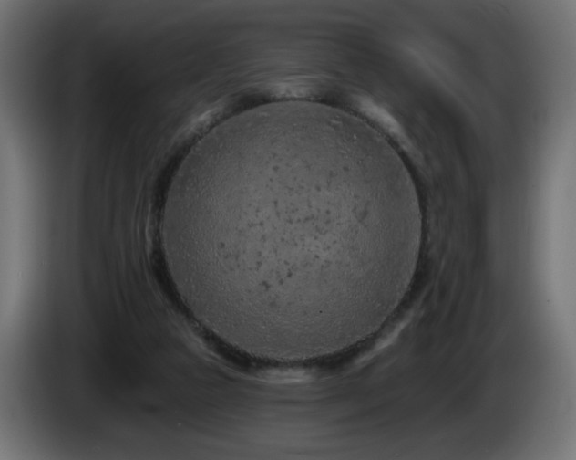 X0000085060161200703051446