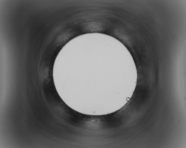 X0000085060162200703051446