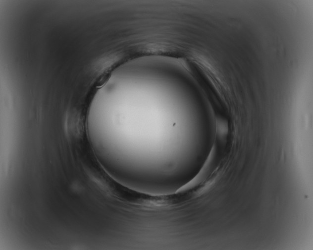 X0000085060164200703051446